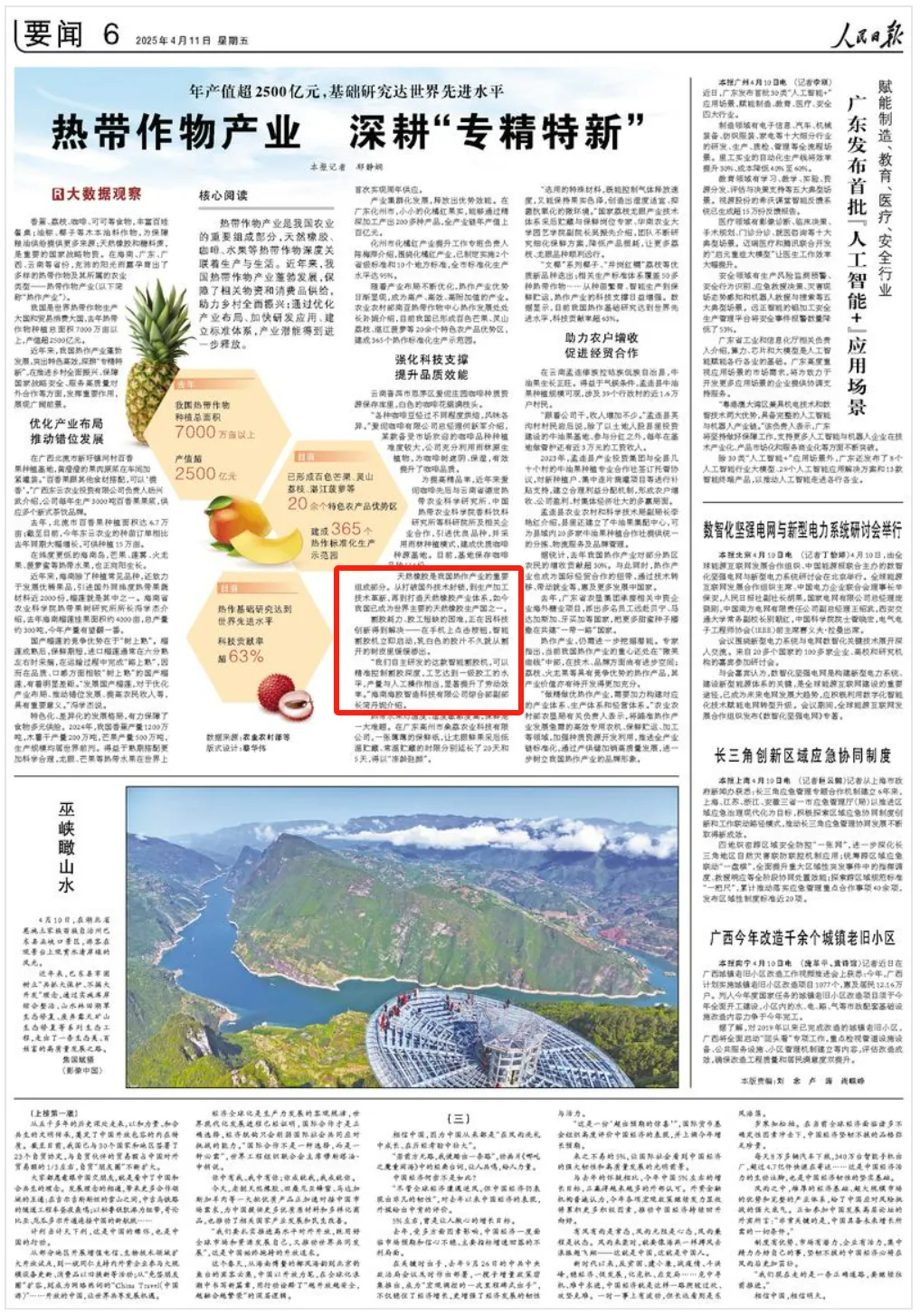 人民日報報道海南橡膠研發(fā)成果：割膠耗力、膠工短缺的困難，正在因科技創(chuàng)新得到解決